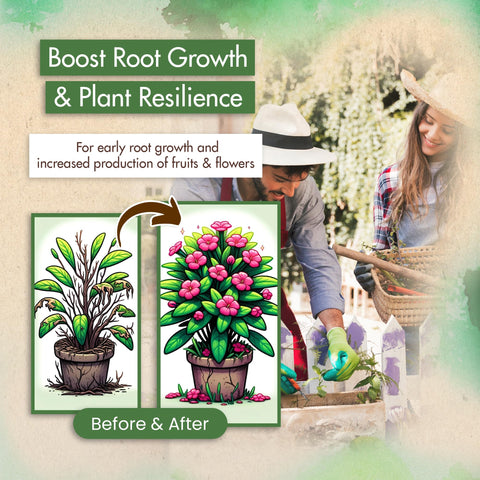 The Grow Co 0-46-0 helps yield more fruit and larger vegetables with phosphorus support.