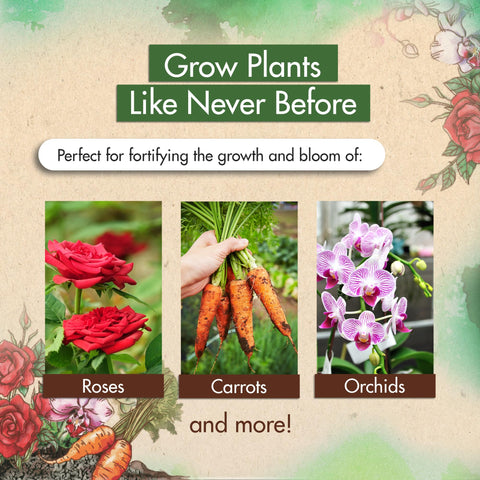 The Grow Co fertilizer enhances turf vigor for a lush, green lawn.