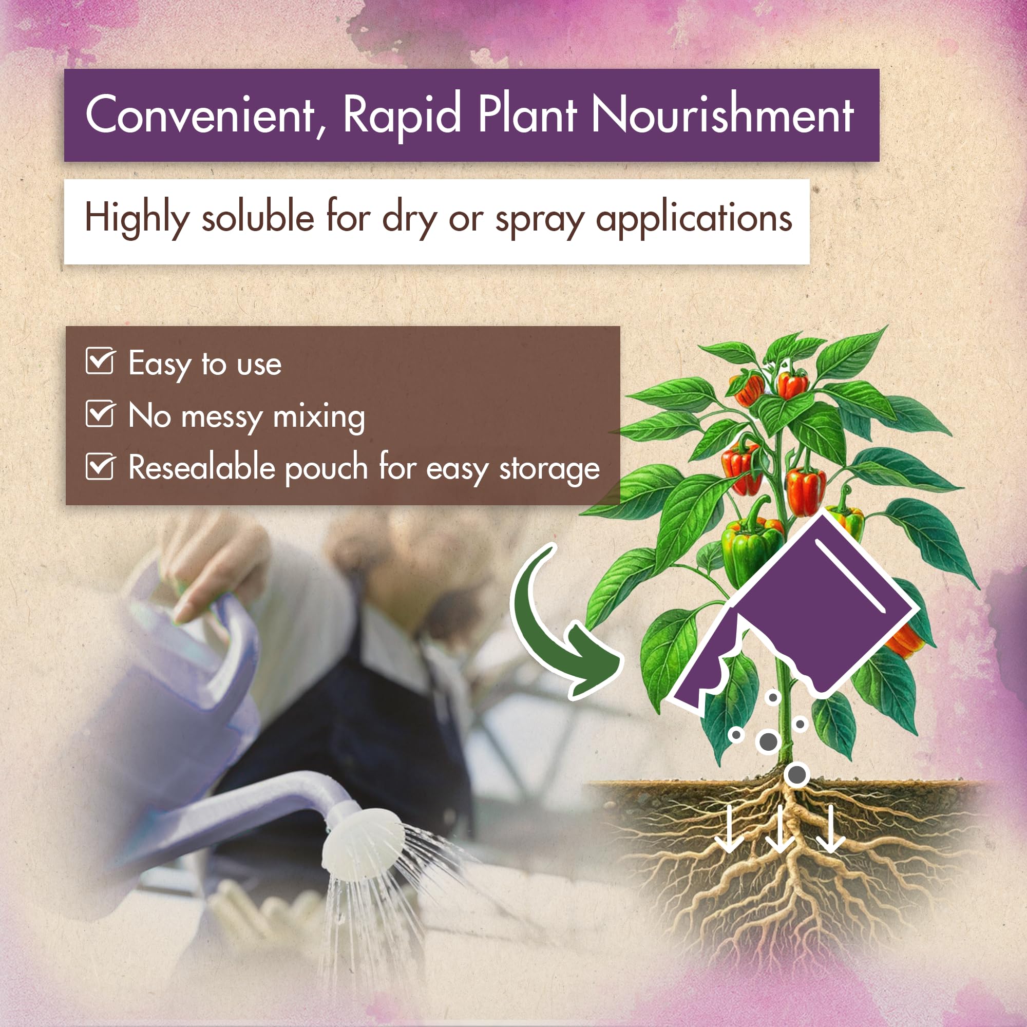 Healthy vegetables boosted by The Grow Co urea 46-0-0 for vigorous growth.