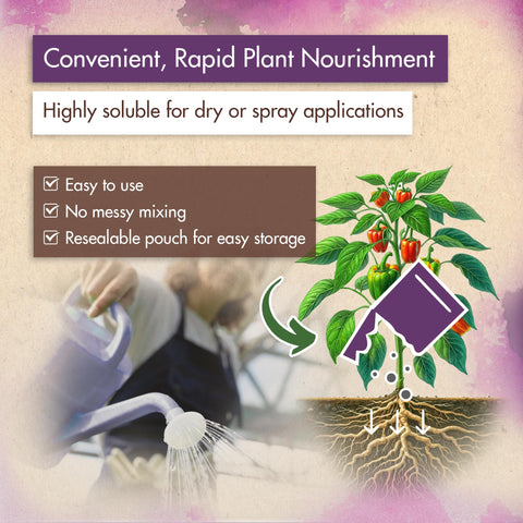 Healthy vegetables boosted by The Grow Co urea 46-0-0 for vigorous growth.