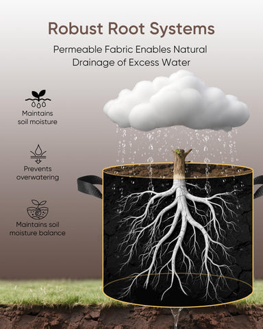 The Growing 1 gallon bag in use demonstrates breathable fabric for healthy root growth