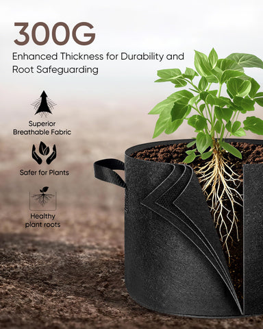 The Growing 5 Pack side view highlights reinforced handles for easy transport