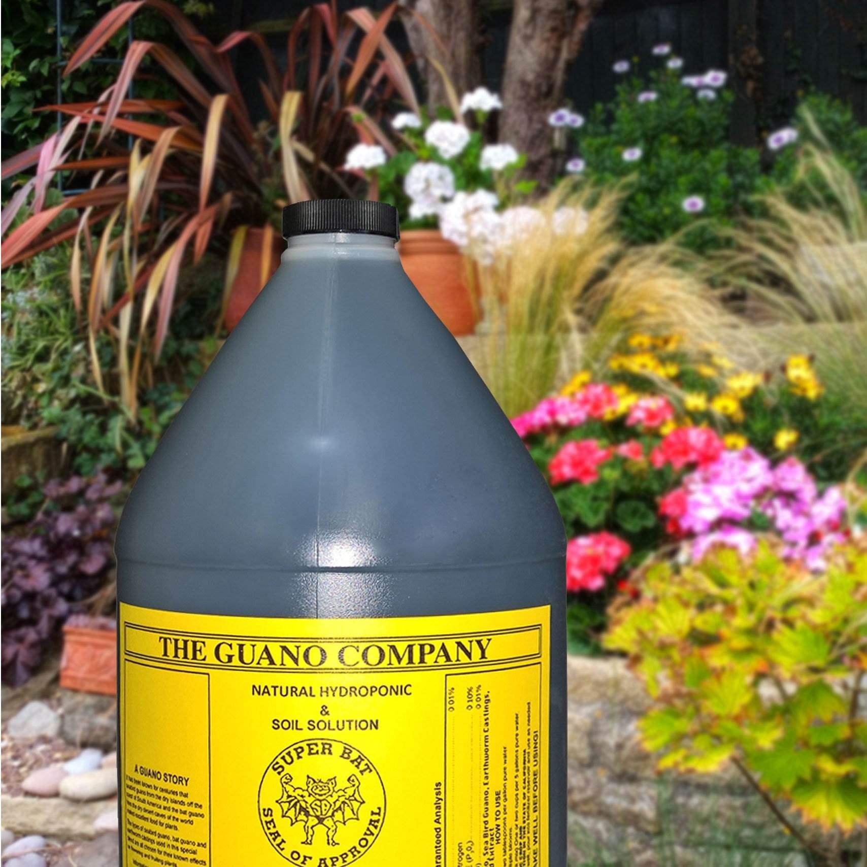 Applying Budswel to soil or hydroponics supports lush growth.