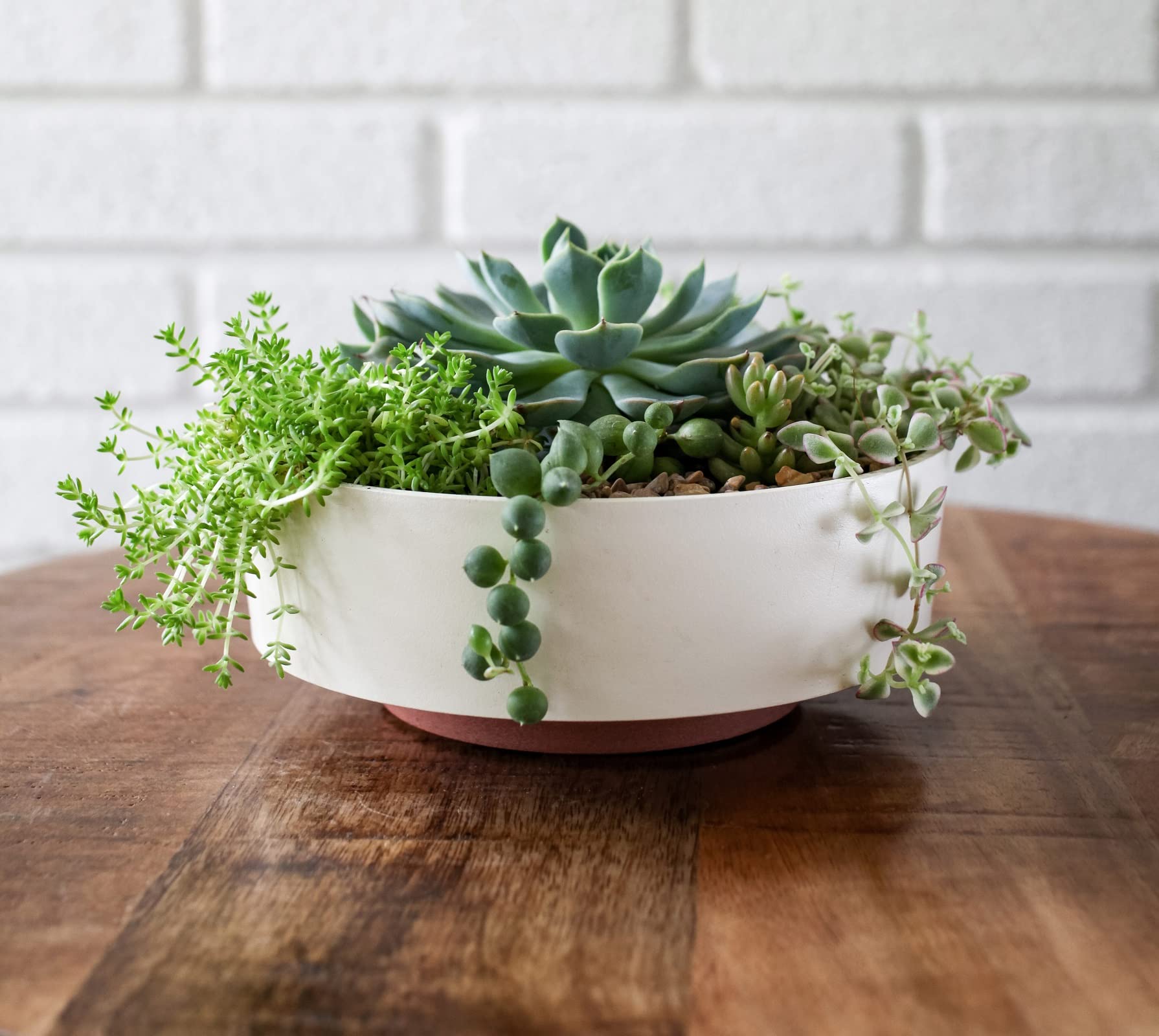 The HC Capri Bowl inside view demonstrates compact size for desks and small spaces.
