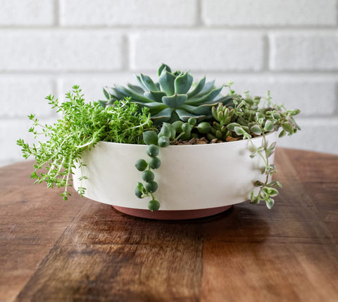 The HC Capri Bowl inside view demonstrates compact size for desks and small spaces.