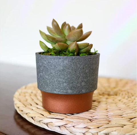 Sprite mini pot coordinates with Kaleidoscope planters for cohesive shelving looks.