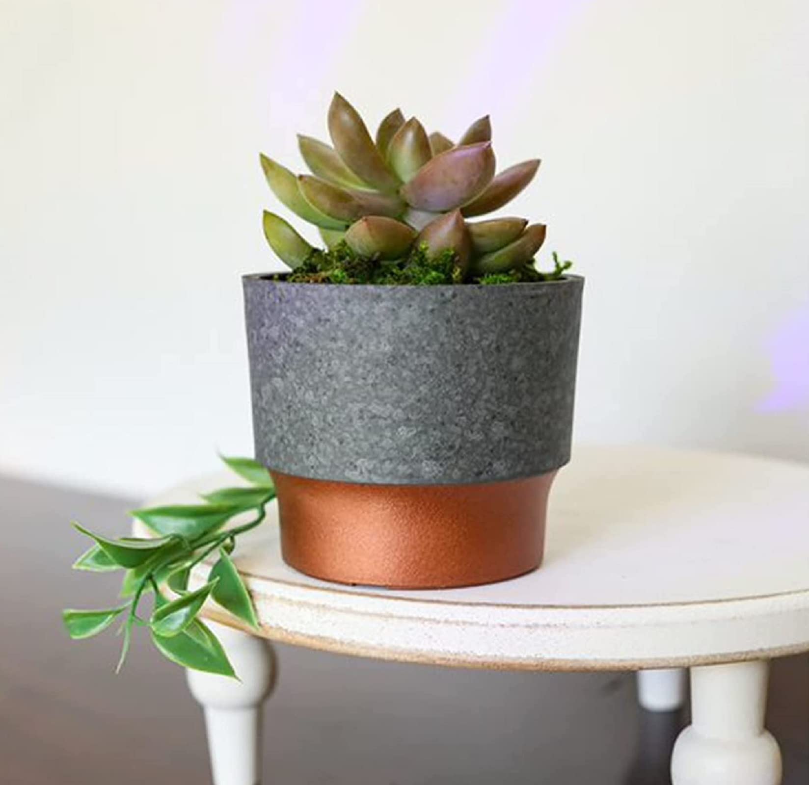 Sprite mini succulent pot showing premium ceramic-concrete look for indoor displays.