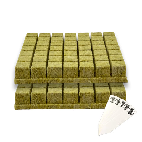 The Hydroponic City rockwool cubes for seed starter promote healthy root growth.