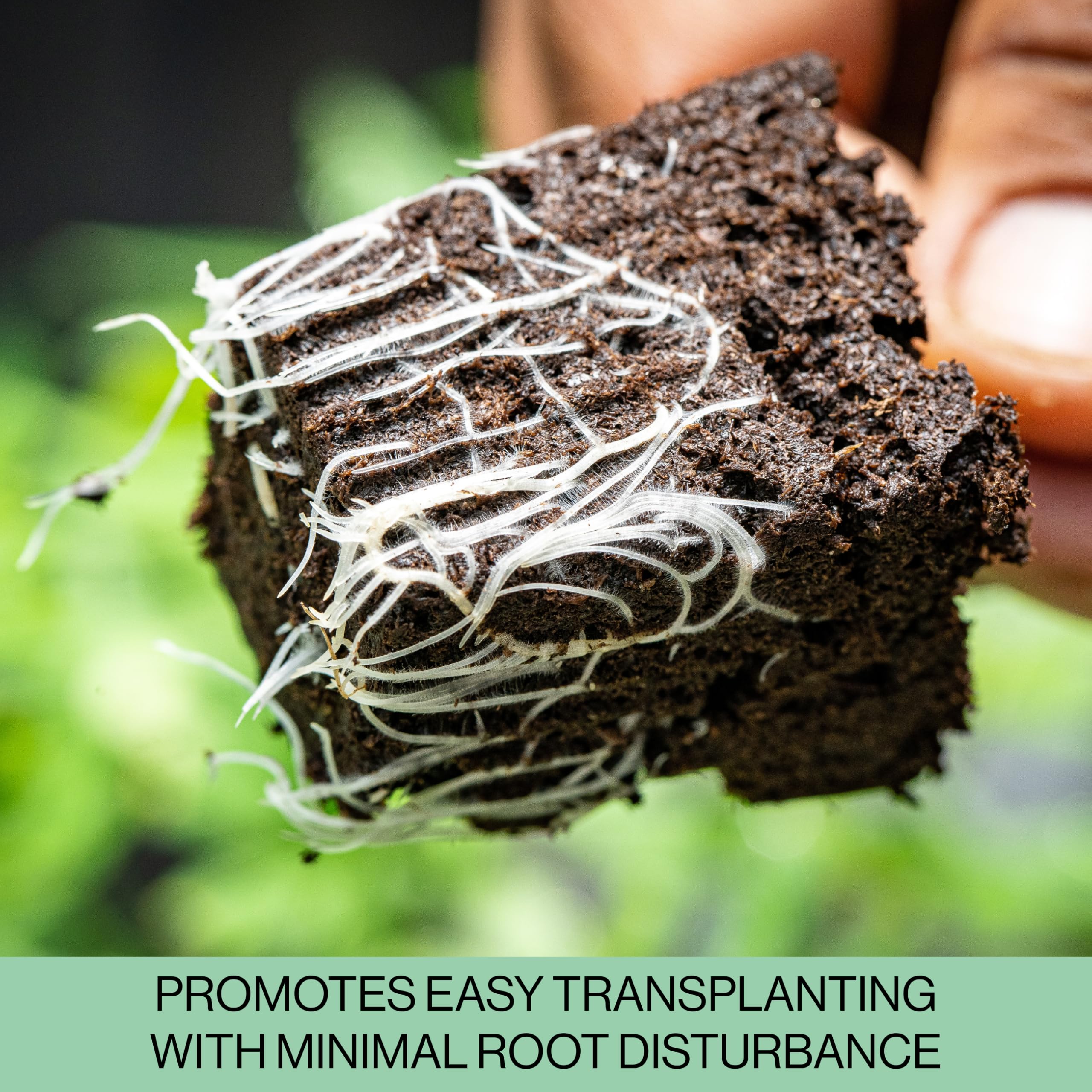 The Hydroponic City stakes with trays for easy labeling.