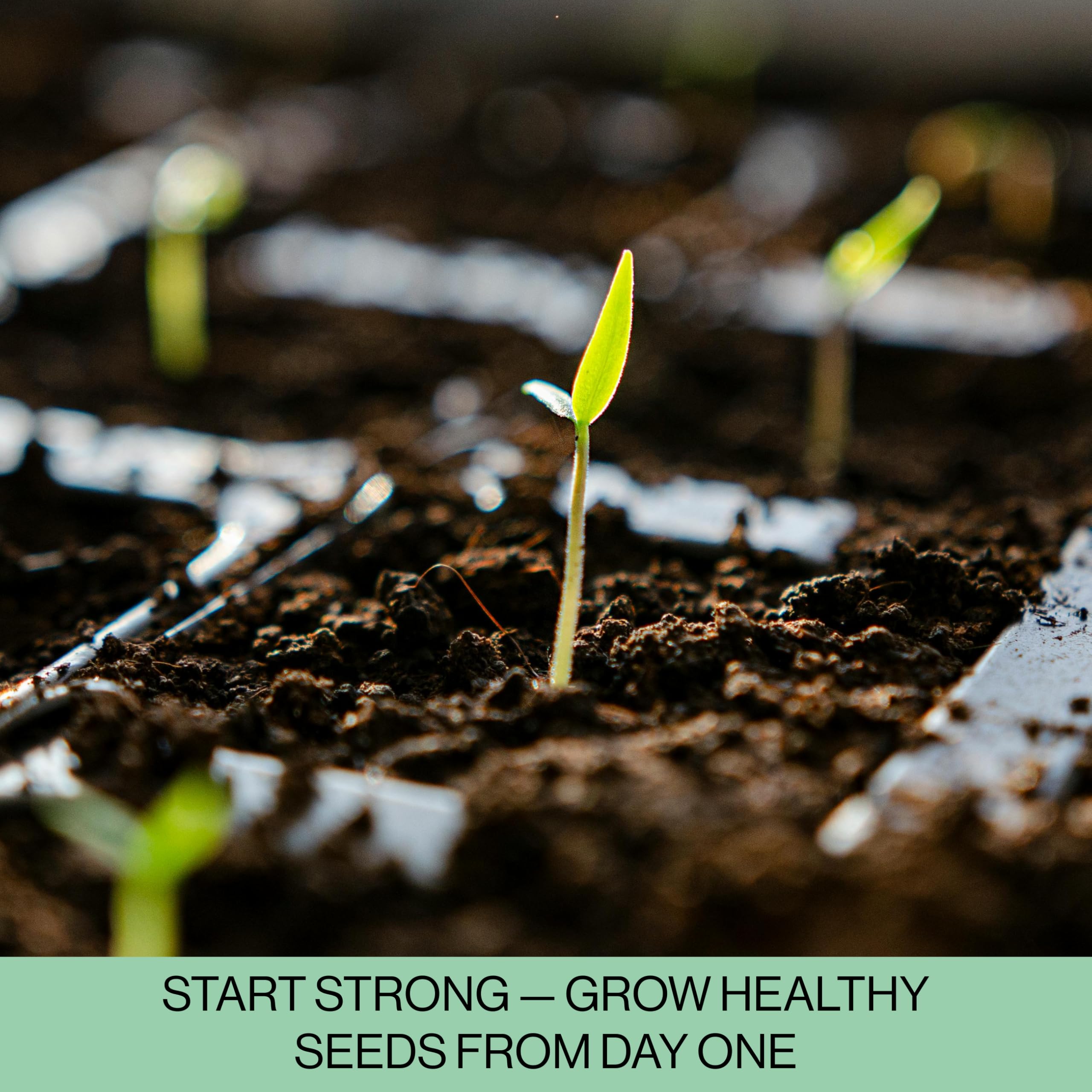The Hydroponic City seed starter tray drainage slits enable efficient moisture control.