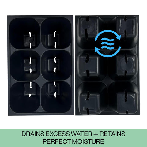 The Hydroponic City seed starter trays in a full garden setup.