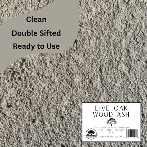 Close-up texture of The Living Pasture Live Oak Wood Ash reveals natural nutrient-rich powder.