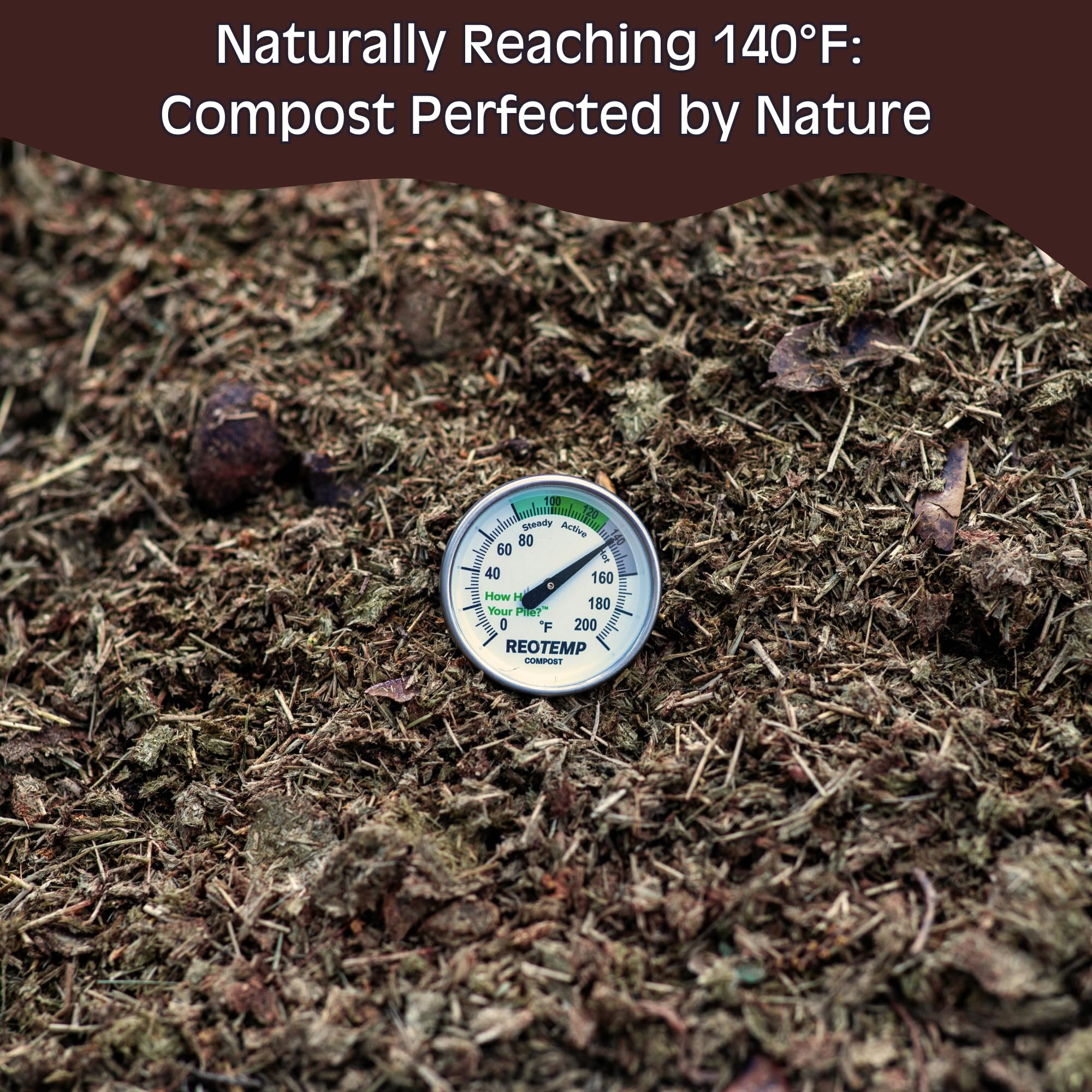 The Living Pasture unpasteurized-plant-food image suggests natural garden nutrition.