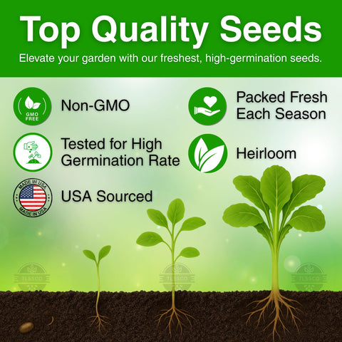 The Lucky Stars 25-inch mature mustard plant shows garden-ready yield.
