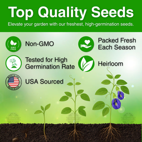 The Lucky Stars butterfly pea seeds germination guide image highlights easy sprouting for spring planting.