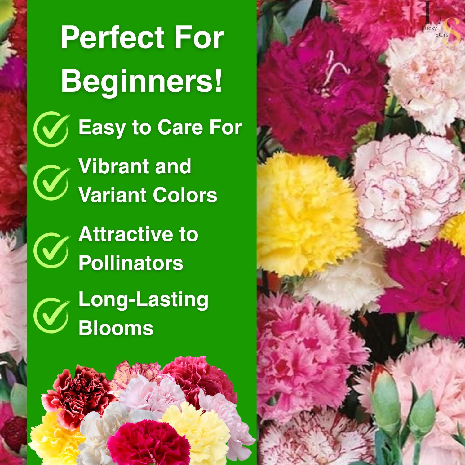 The Lucky Stars mix cut flower options add fragrance to bouquets.