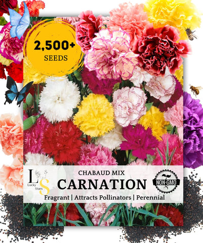 The Lucky Stars carnation seeds mix in packaging ready for garden planting.