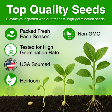 The Lucky Stars seed saving tradition emphasizes replanting for future harvests.