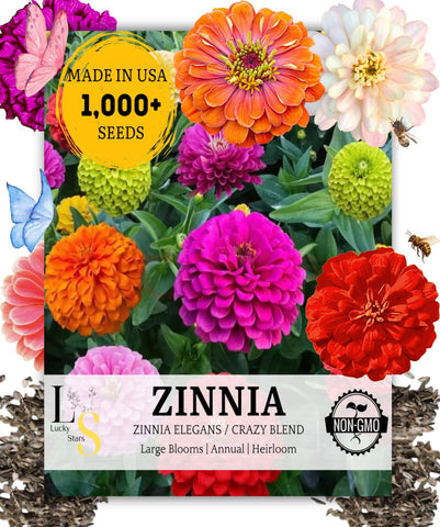 The Lucky Stars zinnia seeds with white pom-pom blossoms for bright sunny borders and long-lasting color.