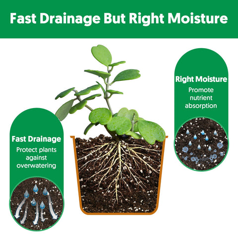 The Next Gardener succulent potting soil mix bag shows balanced moisture retention.