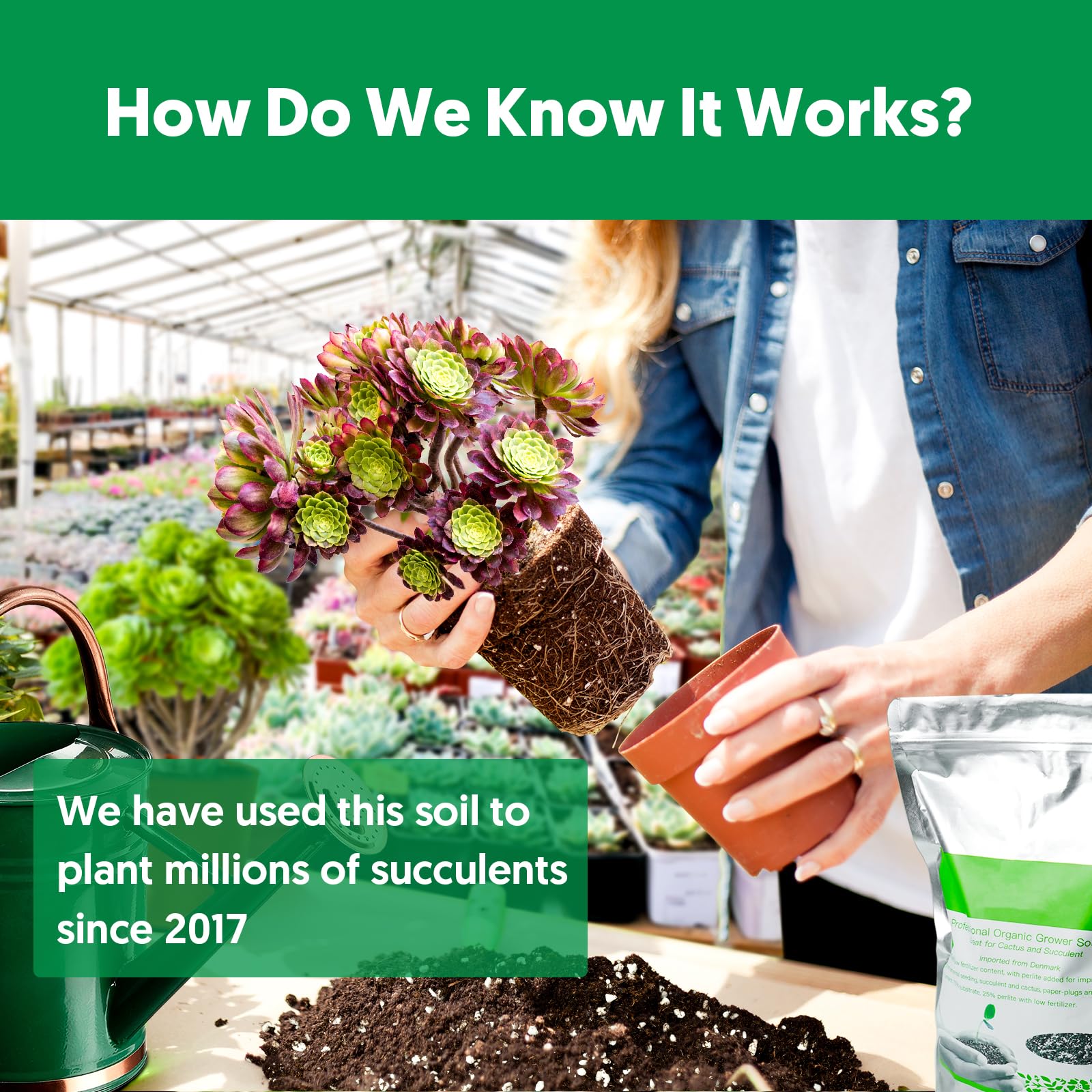 The Next Gardener succulent potting soil mix propagation use supports quick root growth.