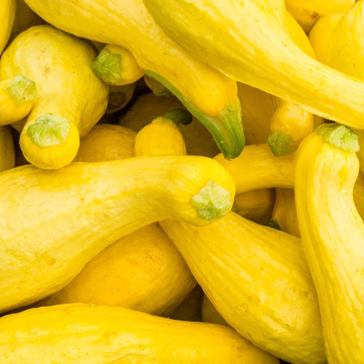 The Old Farmer's Almanac edible flowers accompany creamy flesh for savory dishes.