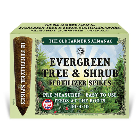 The Old Farmer's Almanac evergreen spikes pack ready for root feeding.