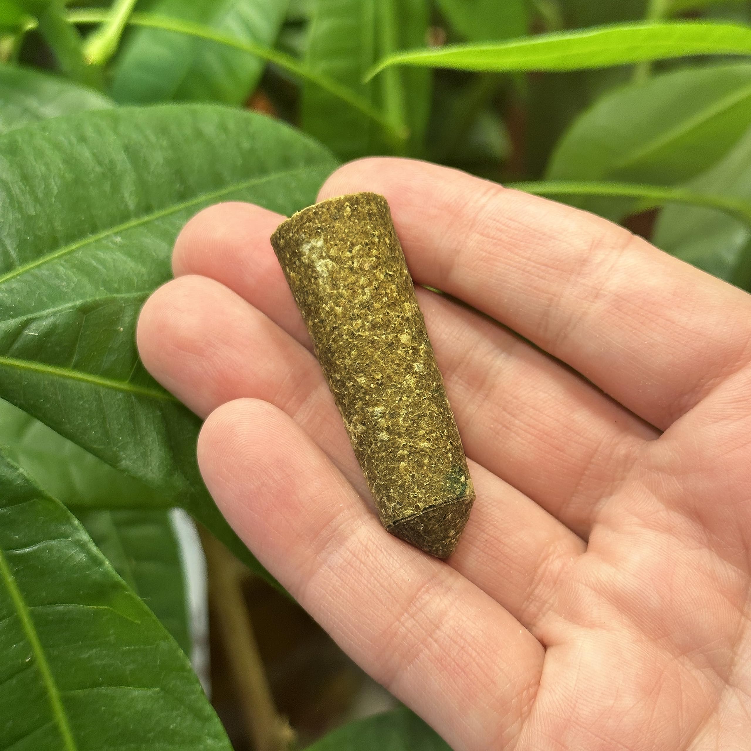 The Old Farmer's Almanac mini spikes being pressed into soil near roots.