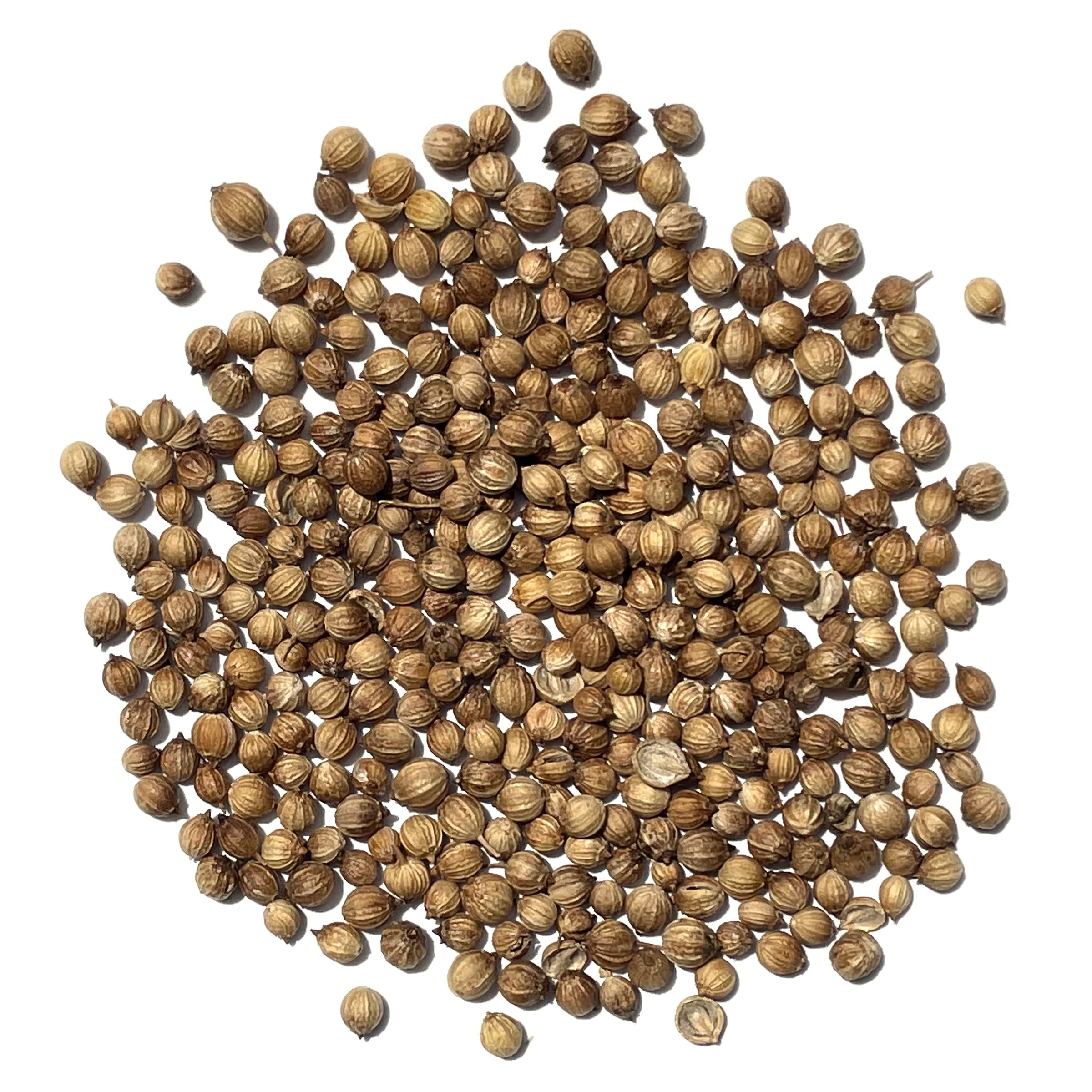 The Old Farmer's Almanac USDA organic cilantro seeds with Oregon Tilth certification.