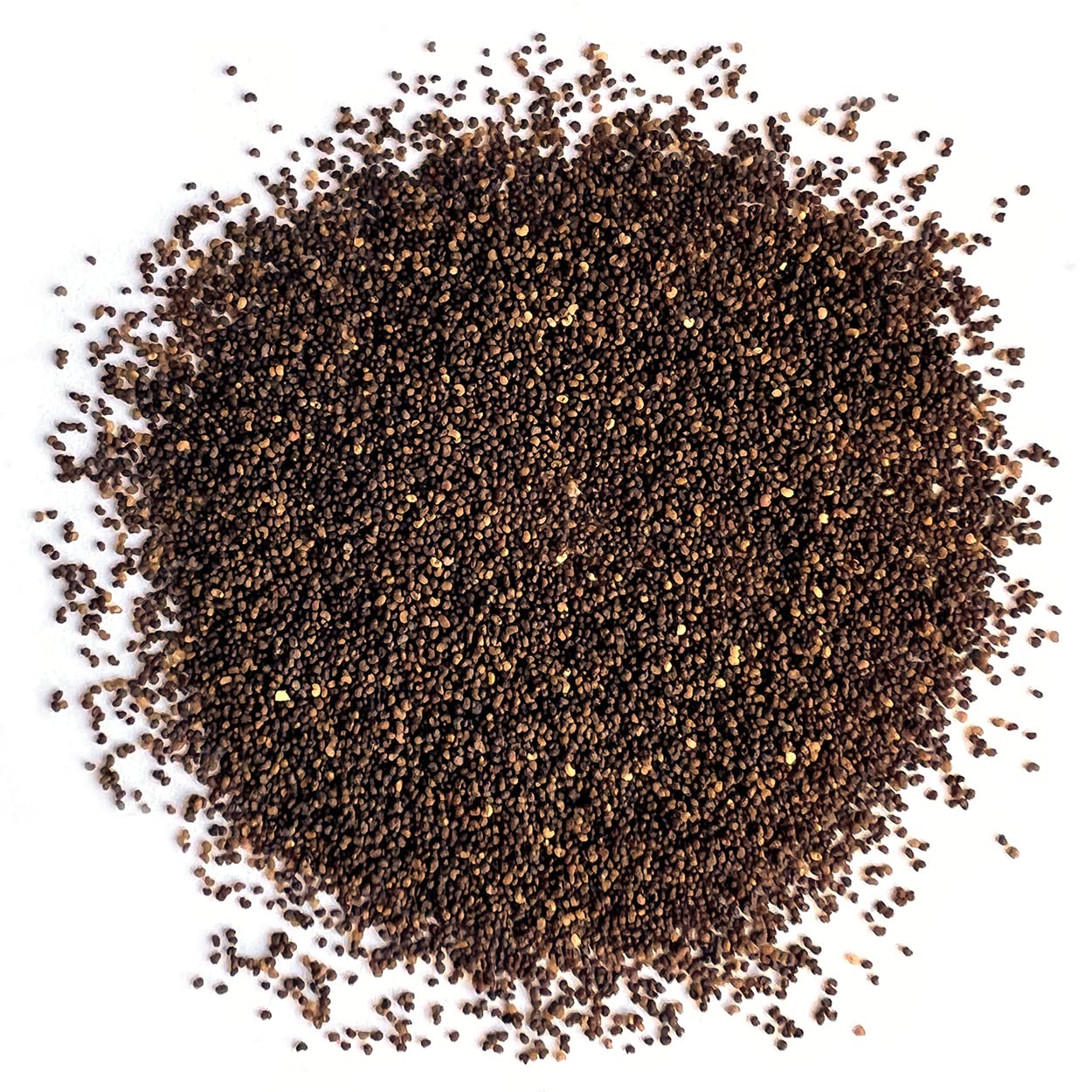 The Old Farmer's Almanac American Legion poppy seeds ready for broadcast sowing with tips.