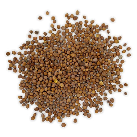 The Old Farmer's Almanac Cherry Belle radish seeds close-up showing premium quality for reliable germination.
