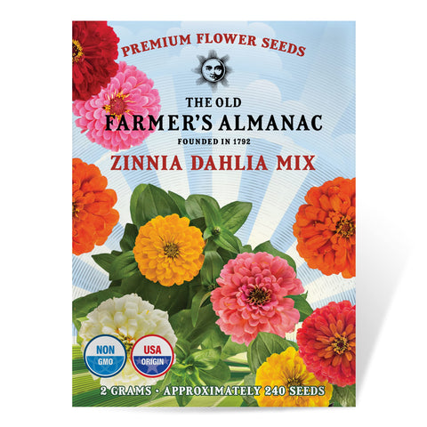 The Old Farmer's Almanac zinnia-dahlia-mix bloom close-up for vibrant borders.