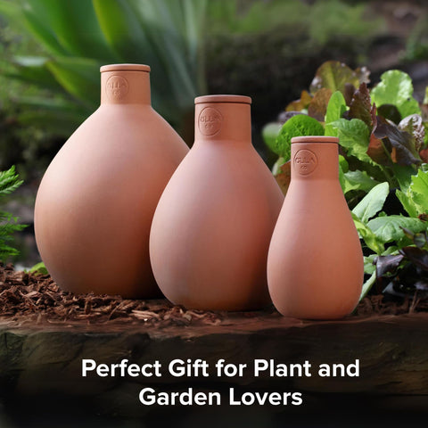 The Olla Company classic olla fits raised beds and pots for easy irrigation.
