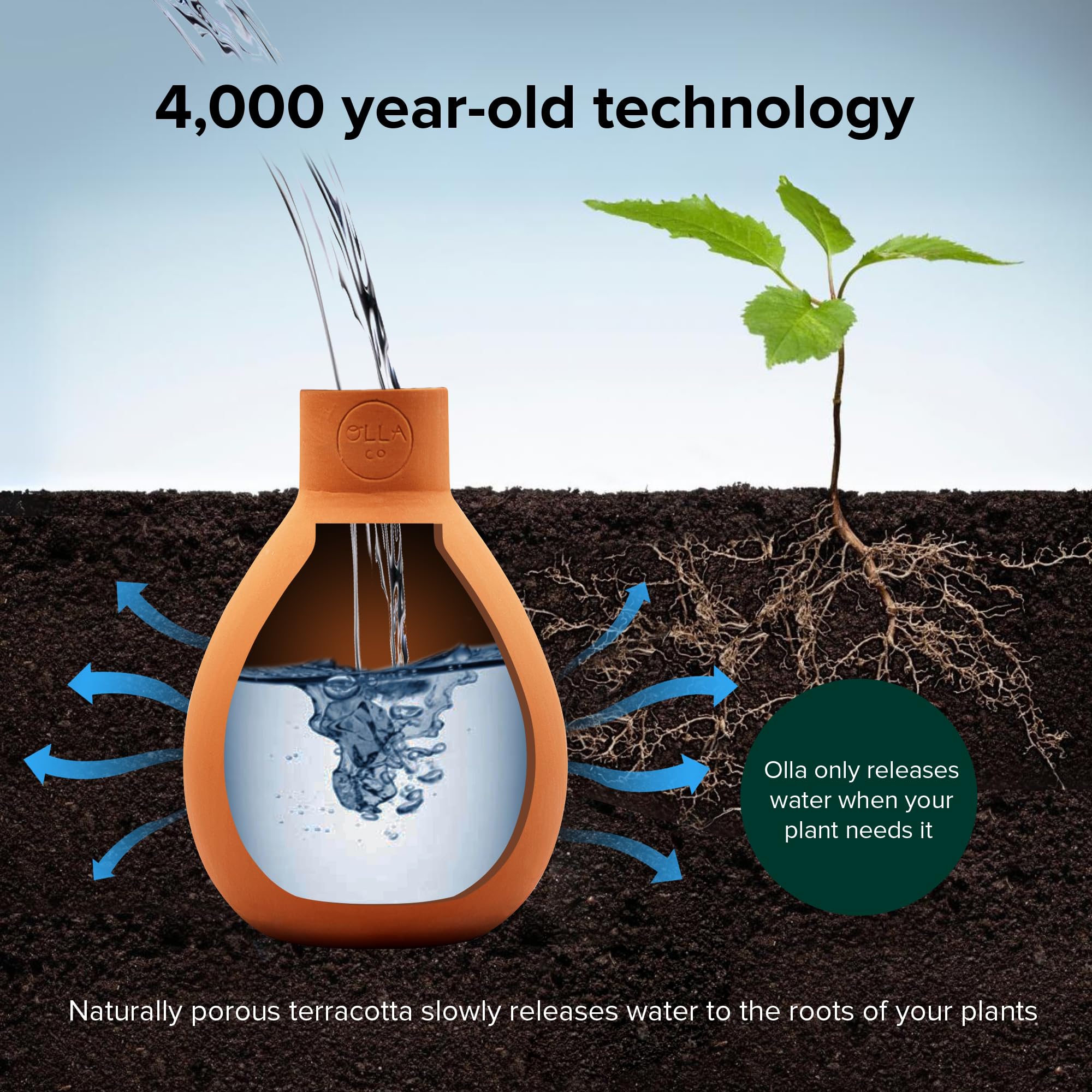 The Olla Company up-to-3-ft-diameter setup supports wide plantings.