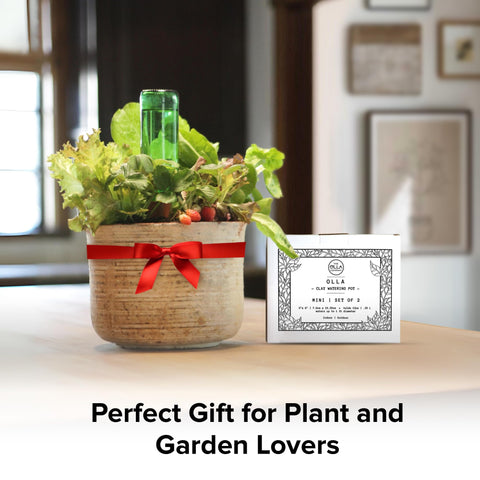 The Olla Company set of 2 pots ideal for small gardens and raised beds