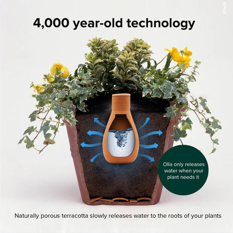 The Olla Company weed-reducing irrigation directs moisture to roots, limiting surface weeds