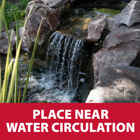 The Pond Guy barley straw is a natural pond treatment for clear water.