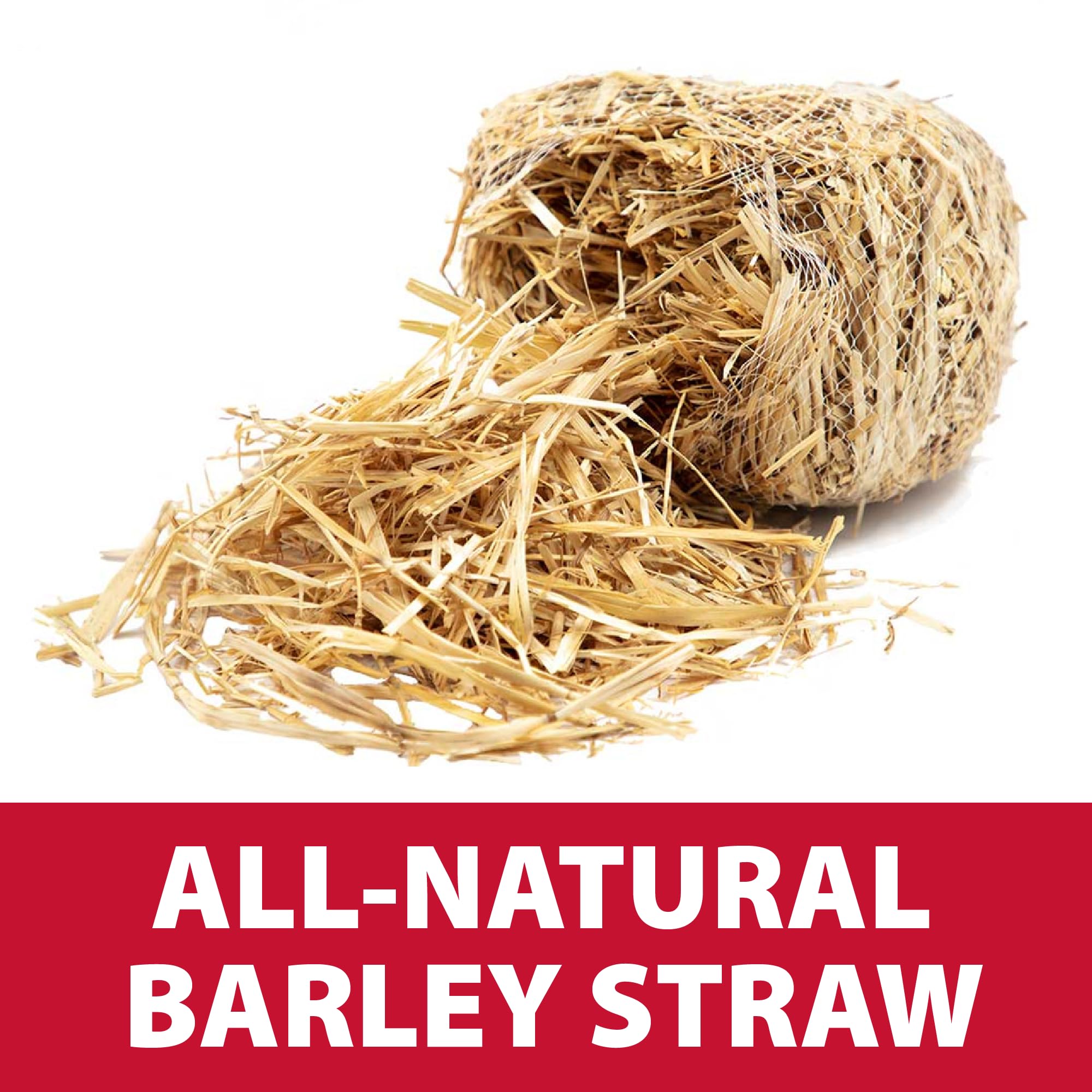 The Pond Guy barley bale in a small koi pond boosts water clarity safely.