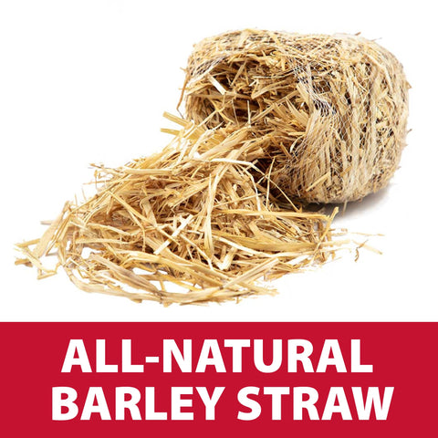 The Pond Guy barley bale in a small koi pond boosts water clarity safely.