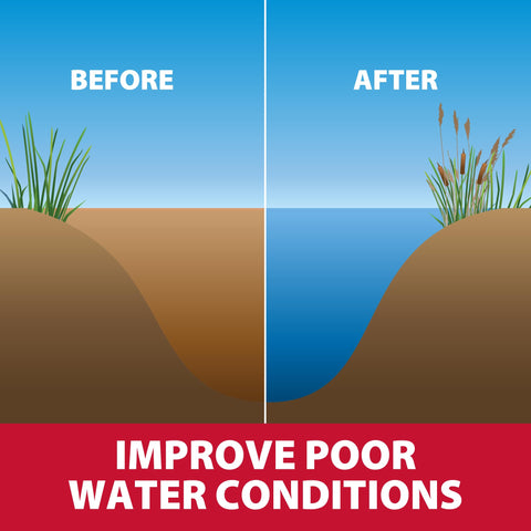 The Pond Guy barley straw in shallow, sunlit water helps clarity.