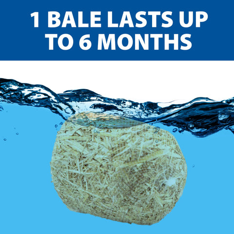 The Pond Guy barley straw bale used year-round supports ongoing pond care.
