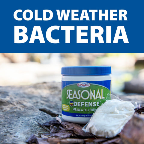 The Pond Guy barley straw infusion supports water clarity for ponds.