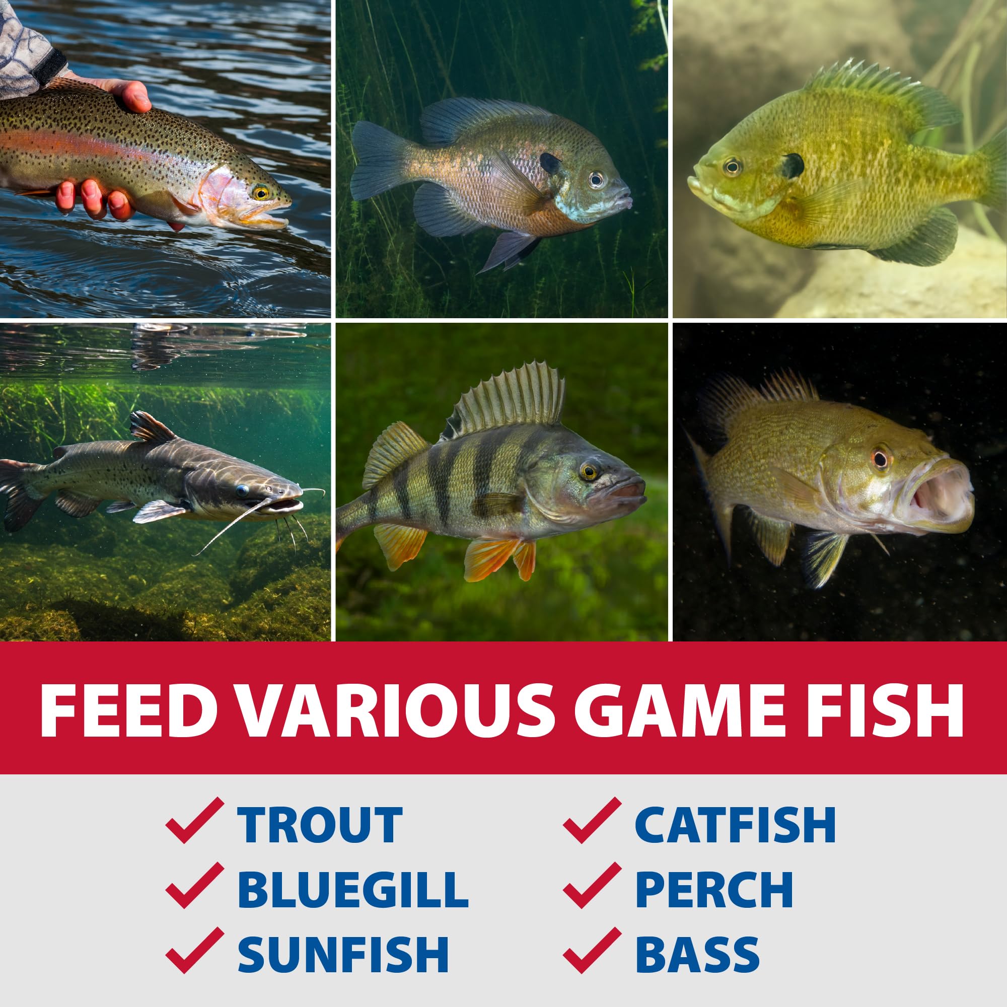 The Pond Guy Game Fish Grower supports bass, trout, and catfish with balanced nutrition.