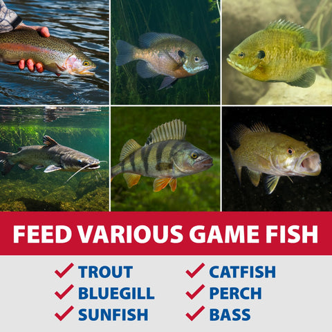 The Pond Guy Game Fish Grower supports bass, trout, and catfish with balanced nutrition.