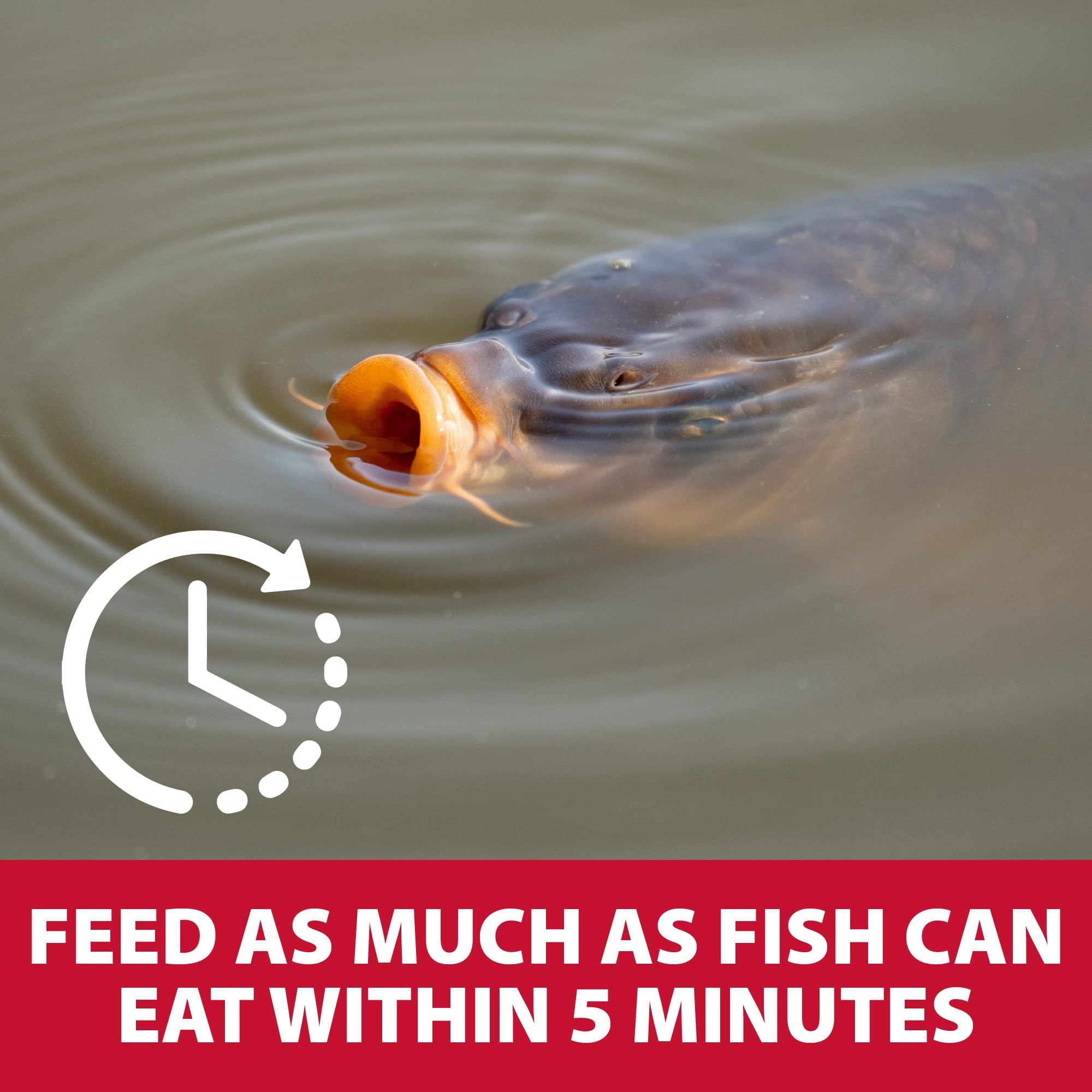 The Pond Guy Game Fish Grower nutrient label highlights protein and minerals for growth-supporting nutrition.