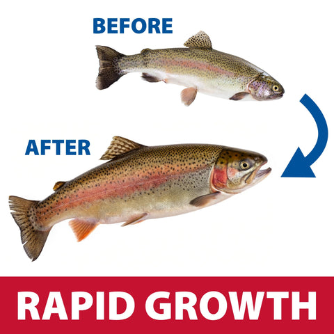 The Pond Guy Game Fish Grower pellet size 3mm illustrates easy mouth-friendly feeding.