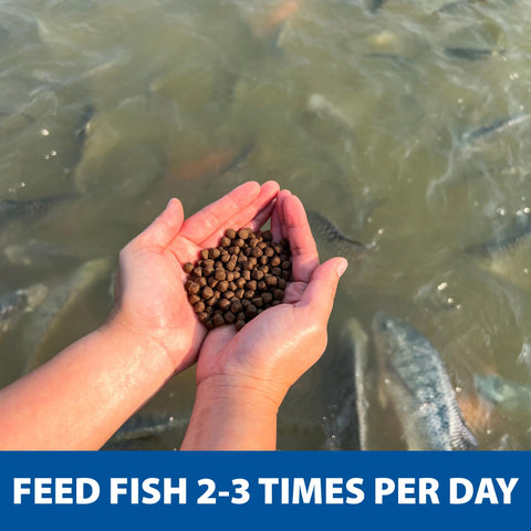 The Pond Guy Game Fish Grower serene aquatic scene highlights premium aquaculture pellets.