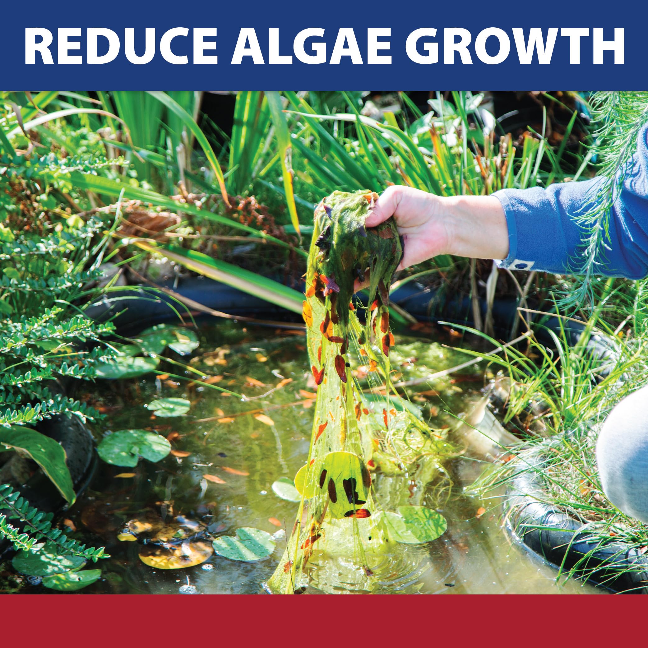 The Pond Guy InstaFix Algae Control aerated-water scene reduces algae growth