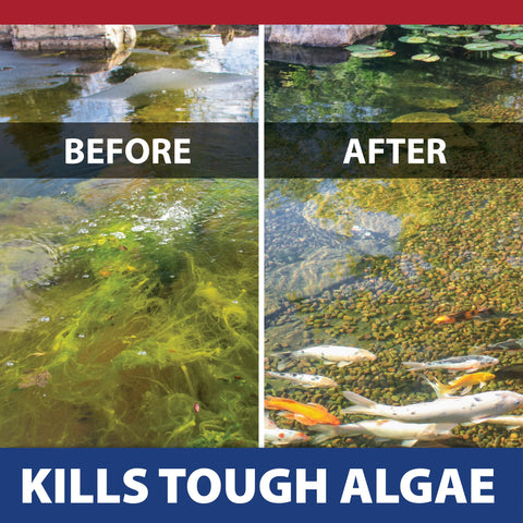 The Pond Guy InstaFix Algae Control fish-safe illustration supports safe aquatic life