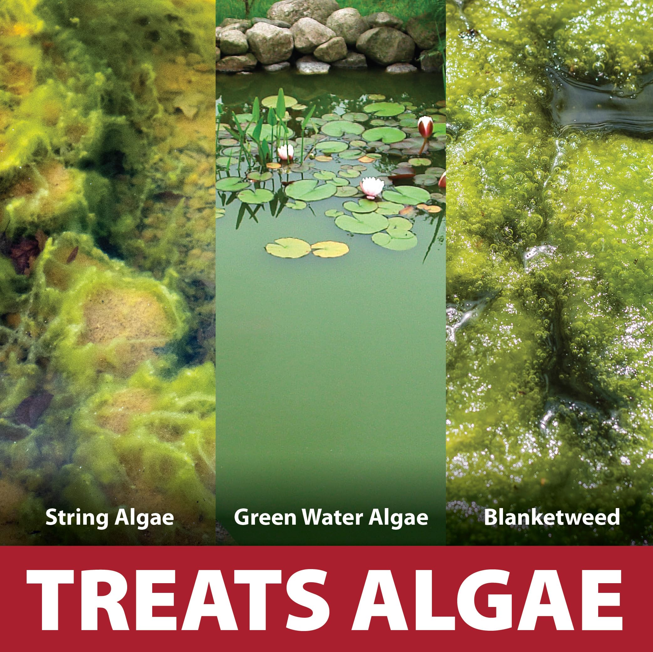 The Pond Guy InstaFix helps reduce green water in a pond with fast-acting algae control.